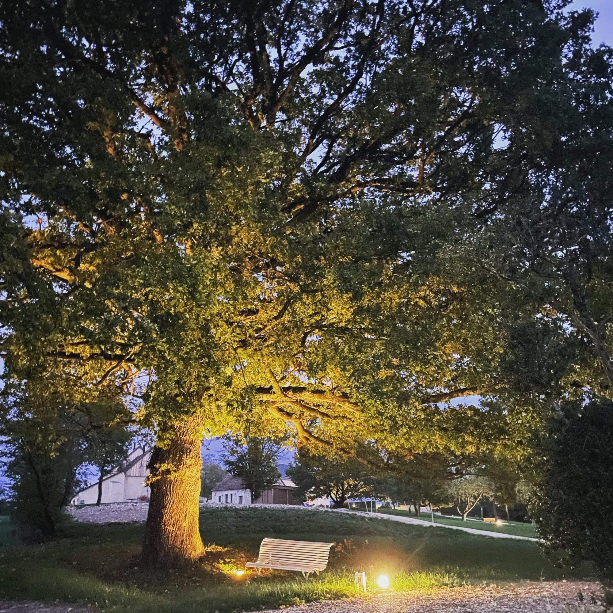 Le Hameau De La Closerie Flere-la-Riviere Экстерьер фото